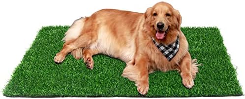 Grass artificiais - Mutifunction Dog Pee Grass dobrável grama falsa não deslizante grama artificial para