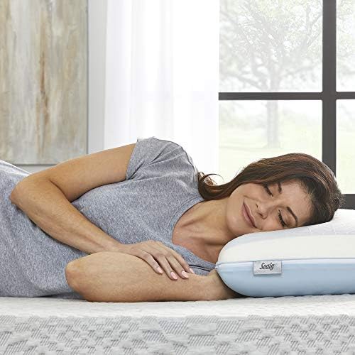 Sealy Duochill Refrigeing Memory Foam Pillow, Standard, White