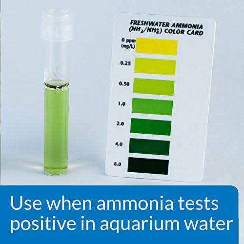 API AMMO-LOCK LOCK Freshwater e água salgada Aquário de desintoxicante de amônia garrafa de 16 onças