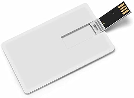 Cartão de crédito de bandeira de Maryland USB Flash Flash Memória personalizada Stick Storage Storage