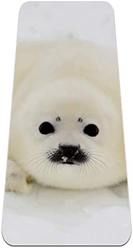 Siebzeh Seal Animal Premium grosso de ioga MAT ECO AMPRENHO DE RORBOMENTE E SAT INNOMBLEIRO DO SLIP para todos