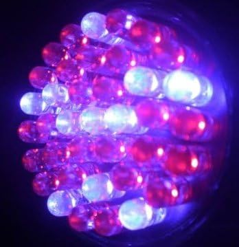 Jumbuk 38 Ultra Bright LEDs - 2 polegadas - apenas lâmpada