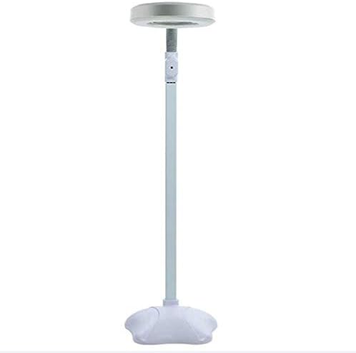 Lâmpada de piso de lupa de LED 5x - Luz de leitura de braço giratória ajustável base com ganso -ganso - Para