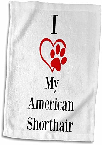 3drose BrooklynmeMe Pet Sayings - Eu amo meu shorthair americano - toalhas
