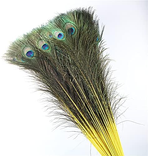 Pumcraft Feather for Craft 70cm-80cm/28-32 polegadas Fedas de pavão natural para artesanato Acessórios