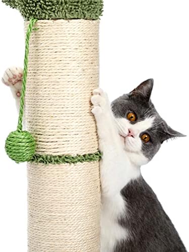 Cat Árvore estável condomínios de gatos para gatos internos acolhedos poleiros de madeira Treking Toys Cat Stands