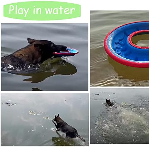 Ivy's Dog Frisbee, brinquedo de cão de folheto, discos de cães Treinando brinquedos, busca brinquedo