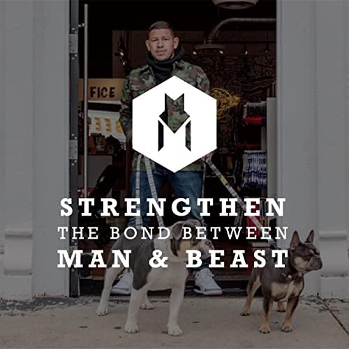 Wolfgang Man & Beast Premium USA Webbing Dog Leash e Martingale Collar Set, Overland Print, Small