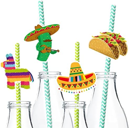 Fiesta Party Supplies Straw Set Drink