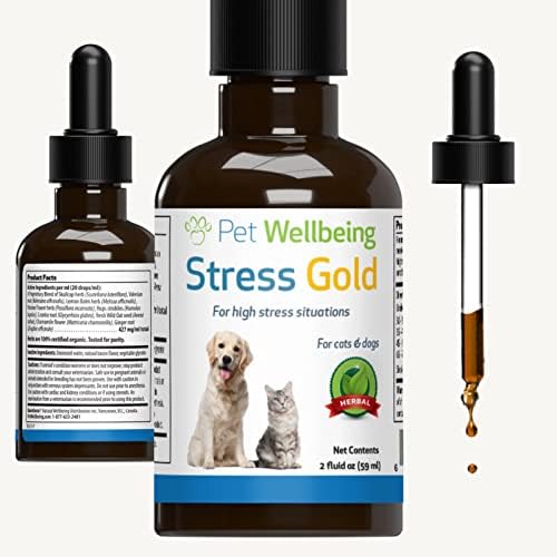 Bem -estar para animais de estimação - Estresse Gold for Cats - Suporte natural para alívio de alto estresse