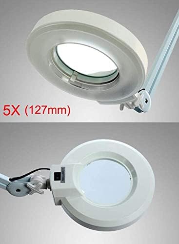 Lineza, LED de LED 5x Luminoso luminária de piso - Salão de 5 rodas Base de rolamento de rodas Ajuste Leitura