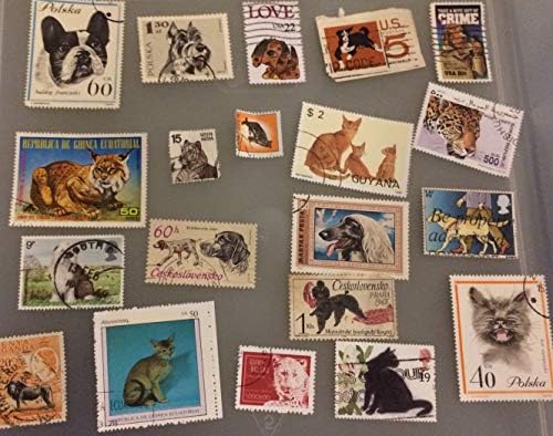 20 cães e gatos com selos postais coletando, selos tópicos em todo o mundo