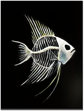 Posters de dissecção de animais de peixe Animal Skeleton Art Canvas pinturas estampas e pôsteres Pintura