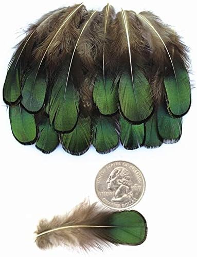Pumcraft Jóias Diy Green Natural Lady Lady Amherst Bronze Iridescente Penas de plumagem para artesanato