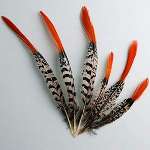 Ttndstore Lady Natural Amherst Pheasão penas para jóias de 5-30cm/2-12 Feathers que fazem carnaval de casamento