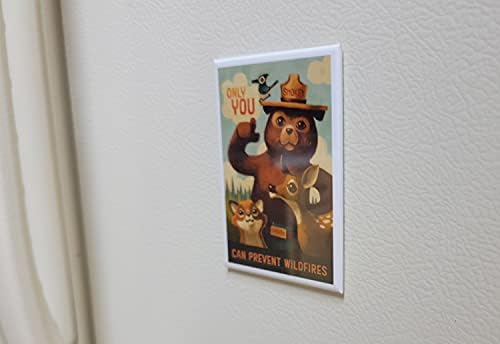 Disney Parks Magnet - Smokey the Bear - Só você pode evitar incêndios florestais