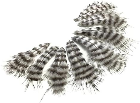 Pena da luz da lua | 1 dúzia - Girzly gizer natural Chickabou Whiting Superbou Fodas Feathers