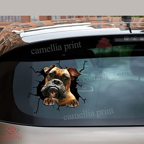 Boxer Dog Car Sticker fofo boxeador personalizado presente de cão meme pequeno SUV adesivos personalizados