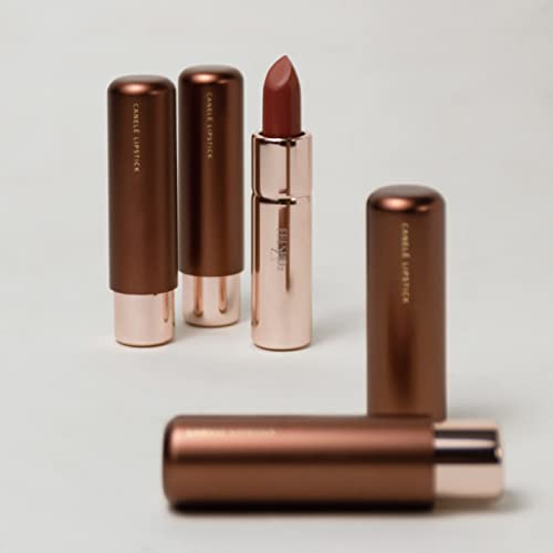 Fresho2 | HD Coleção Canela Satin Lipstick | Hidratante Luxo Cetim Lipstick Silky Smooth Texture | Apple