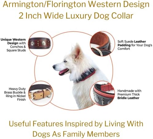 BlazingPaws Florington 2 polegadas de largura de luxo de couro preto grossa colar de cachorro ocidental