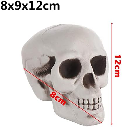 Loja de viciados em viciados no esqueleto do crânio humano penduramento do crânio de halloween