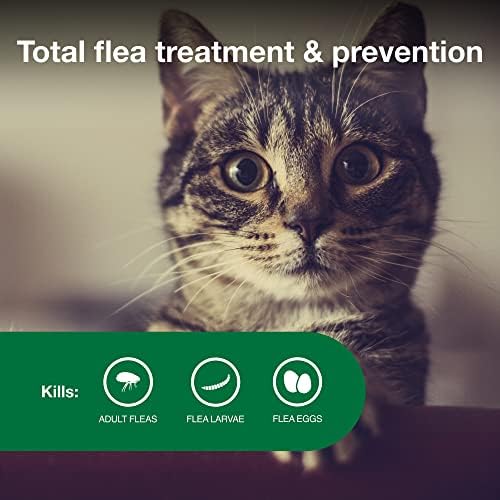 Vantagem II Pequeno tratamento de pulgas e prevenção de pulgas recomendadas gatos | Gatos 5-9 lbs. | Fornecimento