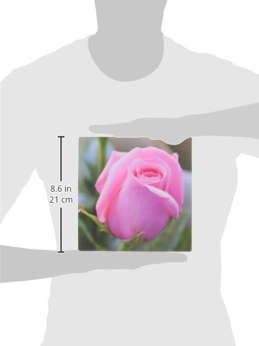 3drose llc 8 x 8 x 0,25 polegadas mouse pad, rosa rosa floral iii