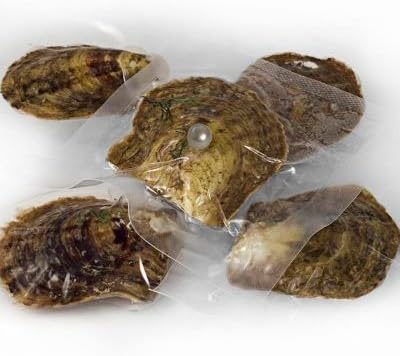 Conjunto de 5 ostras embaladas a vácuo com pérolas cultivadas