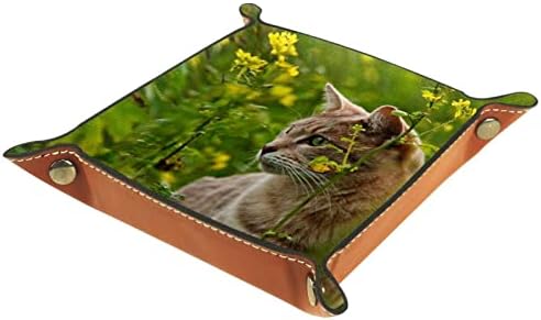 Caixas de armazenamento Tacameng pequenas e fofas grama de gato floral, bandeja de manobrista de