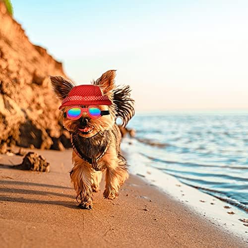 Sebaoyu Capinho de cachorro e óculos de sol Summer Dog Baseball Cap animal de estimação Visor Hats Roupe