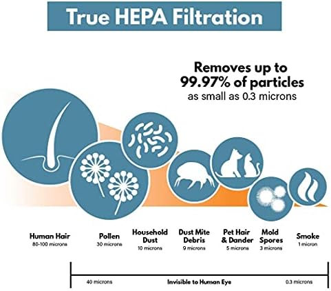 Filtro-monster verdadeiro Substituição HEPA Compatível com o filtro Germguardian C Compatível com