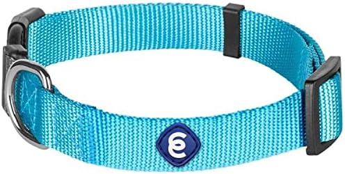 Blueberry Pet Essentials 21 Colors Classic Dog Collar, Turquoise, Small, pescoço 12 -16, colares de nylon para cães