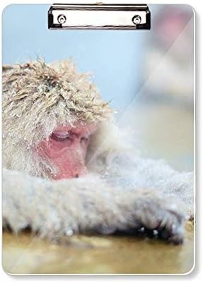 Monkey Organismo Fotografia Animal Pasta de transferência Placa de apoio da almofada A4