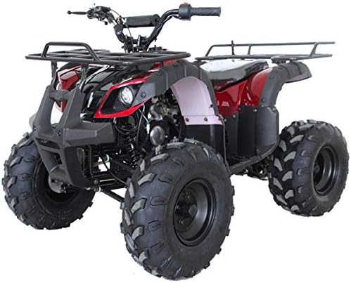 X-Pro ATV 4 Wheelers à venda 125cc ATV Quad Fours Wheelers ATV 4 Wheelers com controle remoto