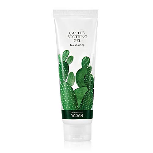 Yadah cactus gel calmante 8.45fl.oz, vegan suave e resfriando cuidados com a pele, 95 % do extrato