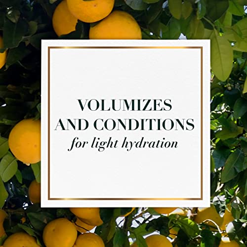 Biografia de Herbal Essences: Renovar toranja branca e Mosa Mint Volumizing Conditioner, 13,5 fl oz