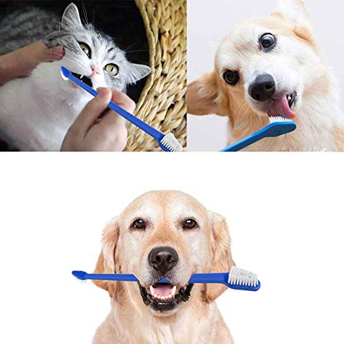 Jocha cachorro gato gato de dentes de dentes de dentes de dentes de dentes de dentes dupla pincel