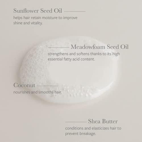 Fitonutrientes de sementes - Shampoo de umidade natural | Beleza limpa sustentável e vegana