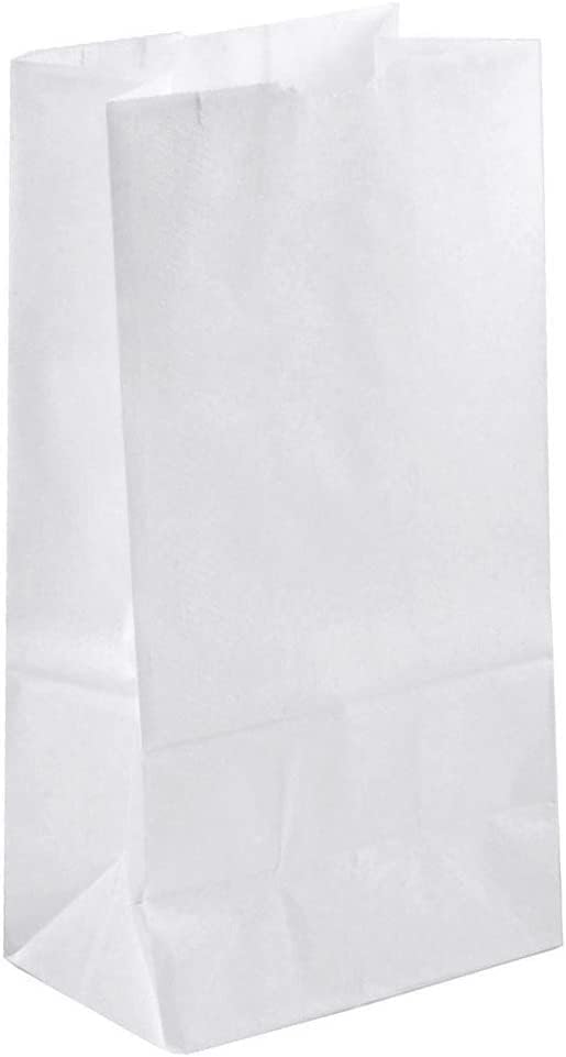 Retire o Essentials 3 lb Kraft White Paper Bag - Lunhanas ecológicas - Sacos de papel pequenos