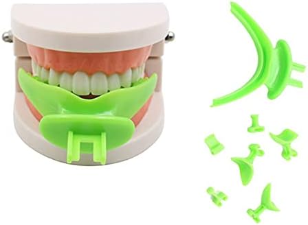 Bandeja mediana da mandíbula oral dental Kuuy, bandeja ortodôntica modelo, modelo de ensino padrão de ensino odontológico