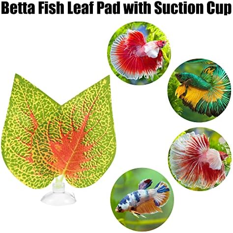 Vocoste 4pcs Betta Fish Leaf Pad com Copo de Betta, Betta Bed Leaf Hammock Resting Hide Decoração Verde