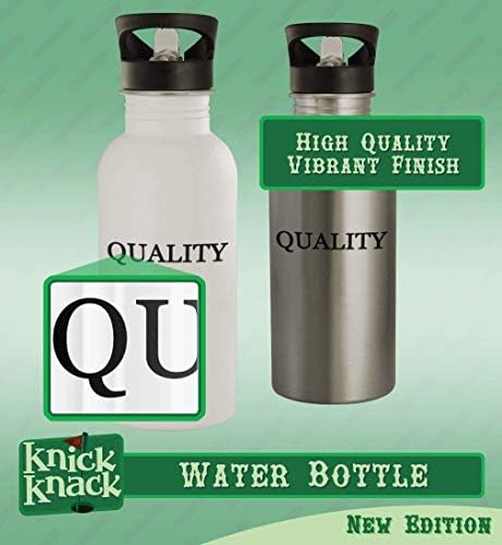 Presentes de Knick Knack Kestrel - 20 onças de aço inoxidável garrafa de água, prata