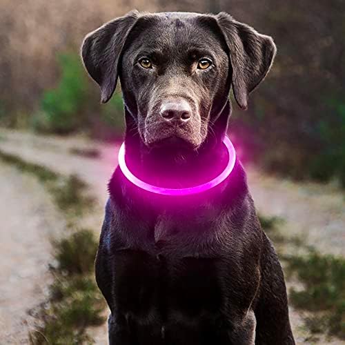 Colarinho de cachorro de higo led - colares de luz recarregáveis ​​USB GLOW INFERIOR NO CARRO DE CARRO DE DOG LED