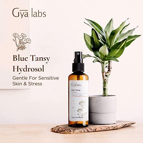 Gya Labs Blue Tansy Hydrosol para cuidados com a pele e alívio do estresse - Spray de névoa de