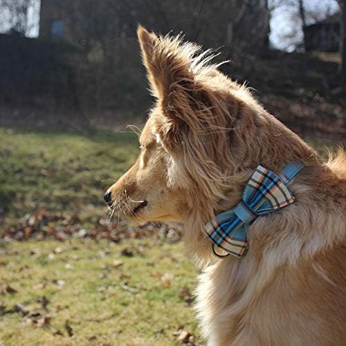Lionet Paws Garote de cão de garoto com raio, confortável ajustável, colar de gravata borboleta azul e confortável