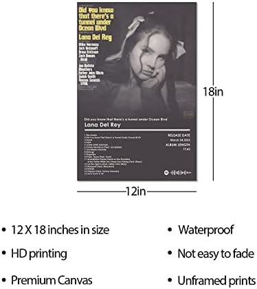 Adilaidun Pop Record Você sabia que há um túnel sob o Ocean Blvd Cober Posters Coleção de Música Disco Arte da Parede Impressão Posters de tela 12x18inch （sem moldura 30x45cm）