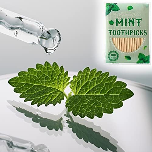 600 PCs Mint palitos de dente de menta Mentidos de dente a granel Menthol de dente com sabor de madeira para