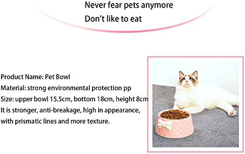 Cat Bowl Anti-deslizamento Multi-Purpose Pet Water Bowl Cerâmica sem derramamento anti-vômito elevado Proteja a