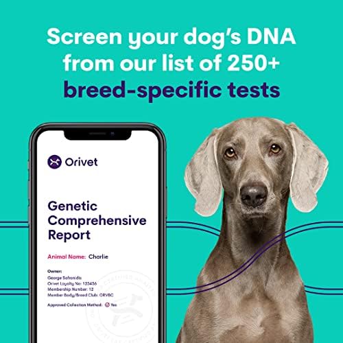 Kit de teste de DNA de cães Orivet - Perfil de raça completa de Goldendoodle | Testes de filhotes contra 250 riscos