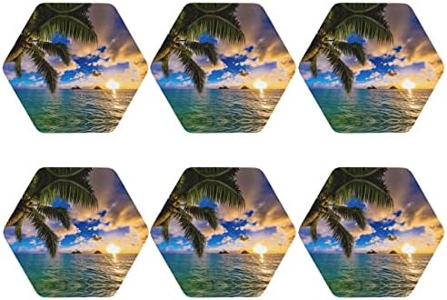 Coasterizações de couro do ensegueiro de palmeiras do Havaí Tropical Conjunto de 6, montanhas -russas engraçadas,